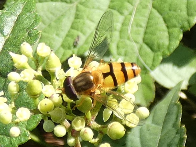 photo_2